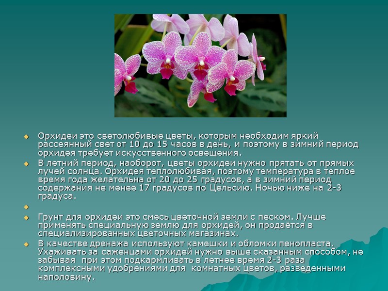 Орхидеи это светолюбивые цветы, которым необходим яркий рассеянный свет от 10 до 15 часов Орхидеи это светолюбивые цветы, которым необходим яркий рассеянный свет от 10 до 15 часов